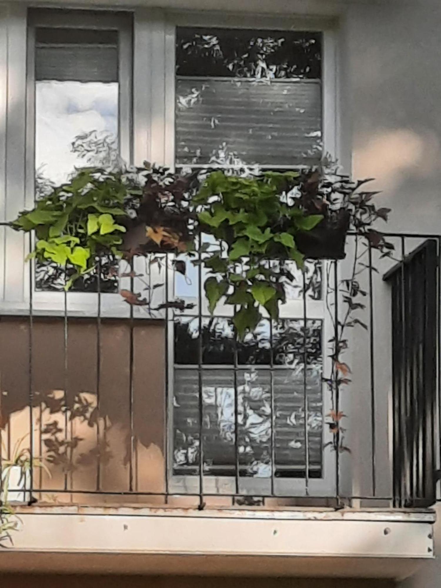 Apartament Jak W Domu Zamość Exterior foto