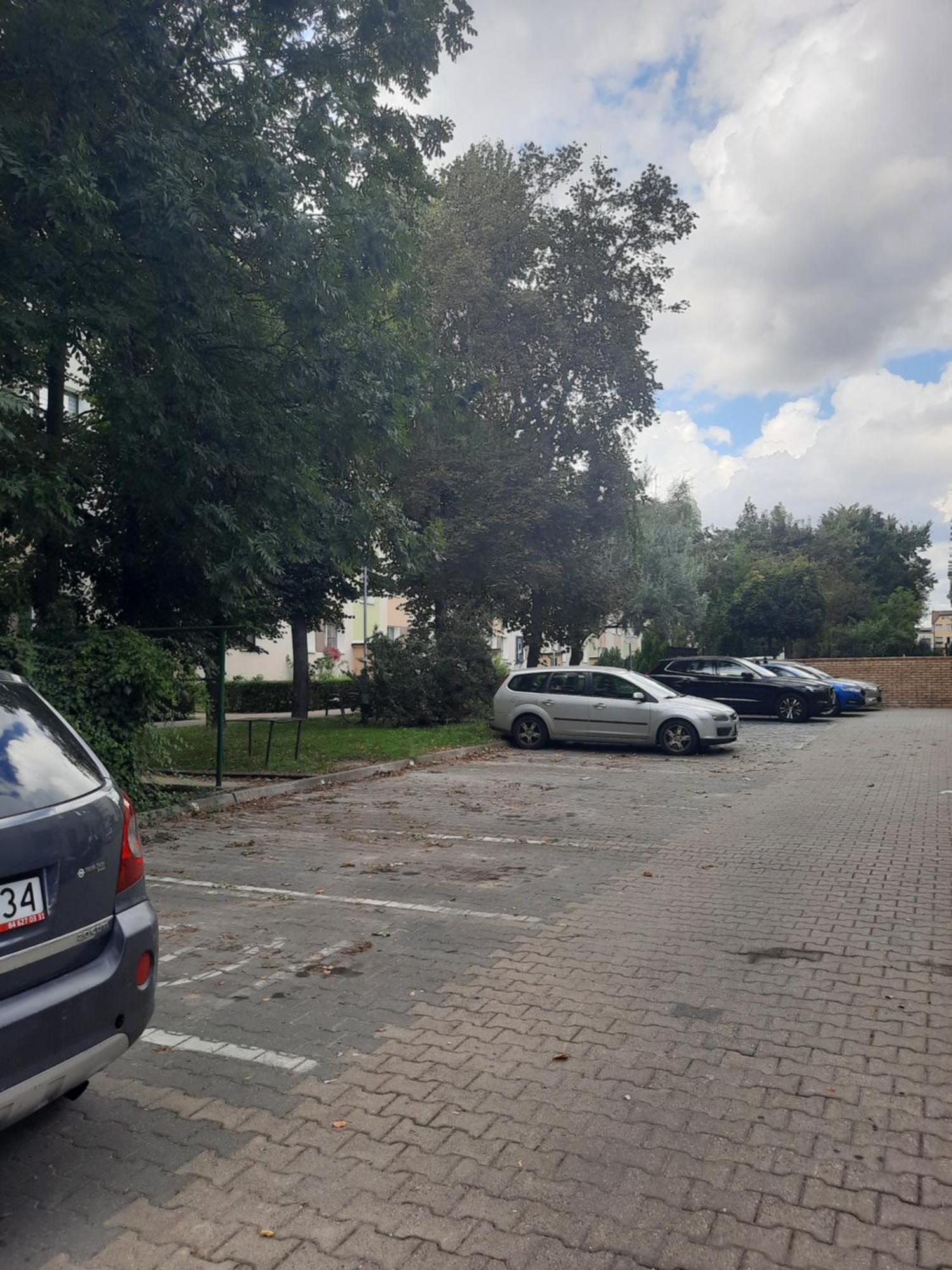 Apartament Jak W Domu Zamość Exterior foto