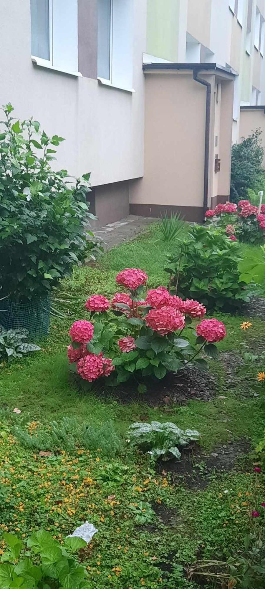 Apartament Jak W Domu Zamość Exterior foto